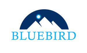 bluebird-logo-nocturna-ogl